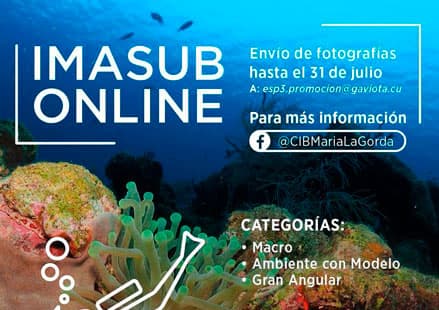 Concurso Internacional de Fotografía Subacuática Imasub 2020