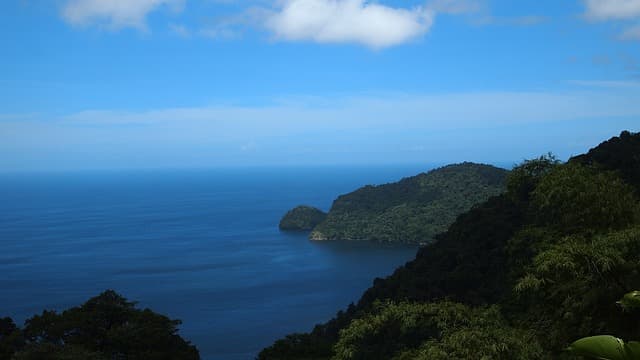 Trinidad and Tobago return to tourism growth
