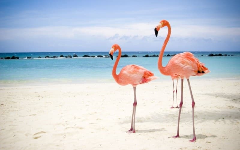 Santa Lucía, un paraje de serenidad en el Caribe