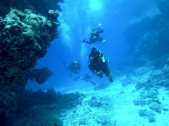 It's official; Diving is a new attraction for Canadians in Cuba