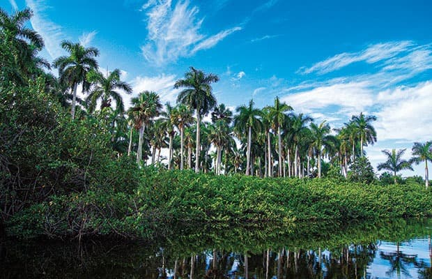 Turismo y medio ambiente en Cuba: grandes aliados