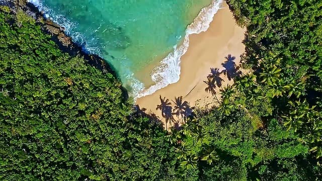 Centroamérica y República Dominicana lideran intenciones de viajes en 2022