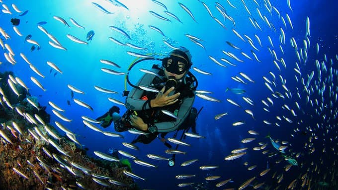 Líderes del turismo piden acción urgente para proteger los océanos