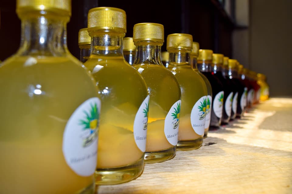 La experiencia de tomar mezcal: un viaje de sabor muy particular