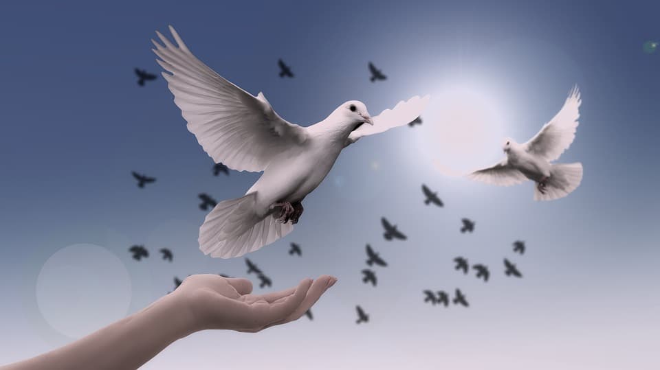 Point of View: Skal International support peace