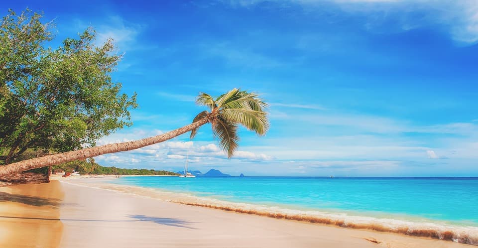 TTC special: Caribbean Tourism: Nothing but recovery for next summer