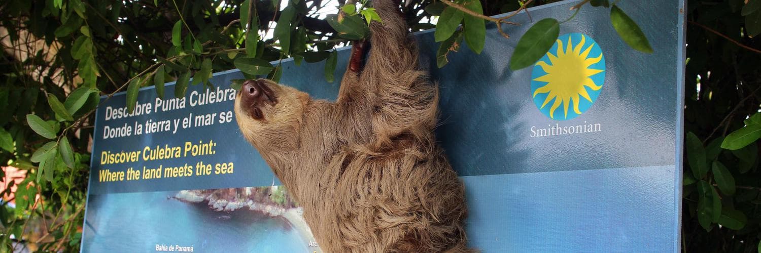 Centro Natural Punta Culebra de Panamá, un encuentro interactivo con la naturaleza