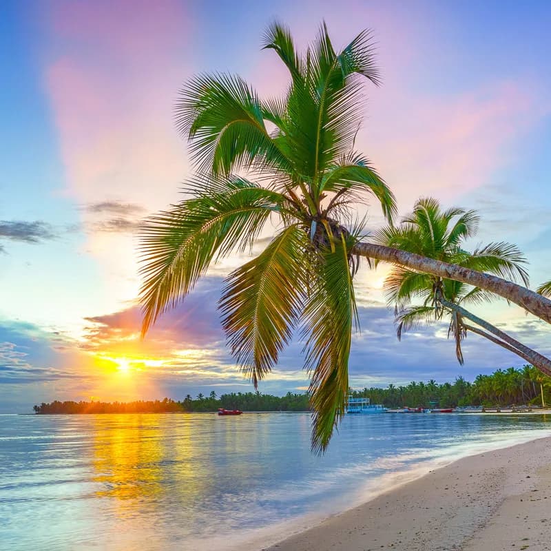 TTC Special: Worldwide call to small businesses to transform tourism industry
