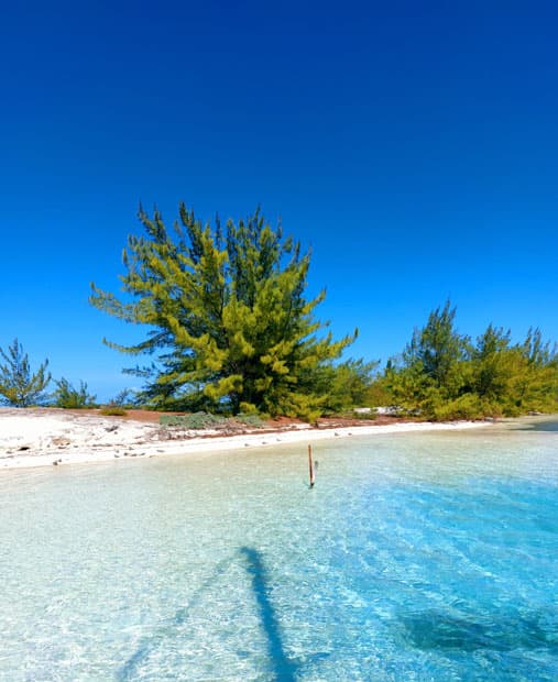 The most beautiful beaches in the world: Cuba's Cayo Largo is one of them