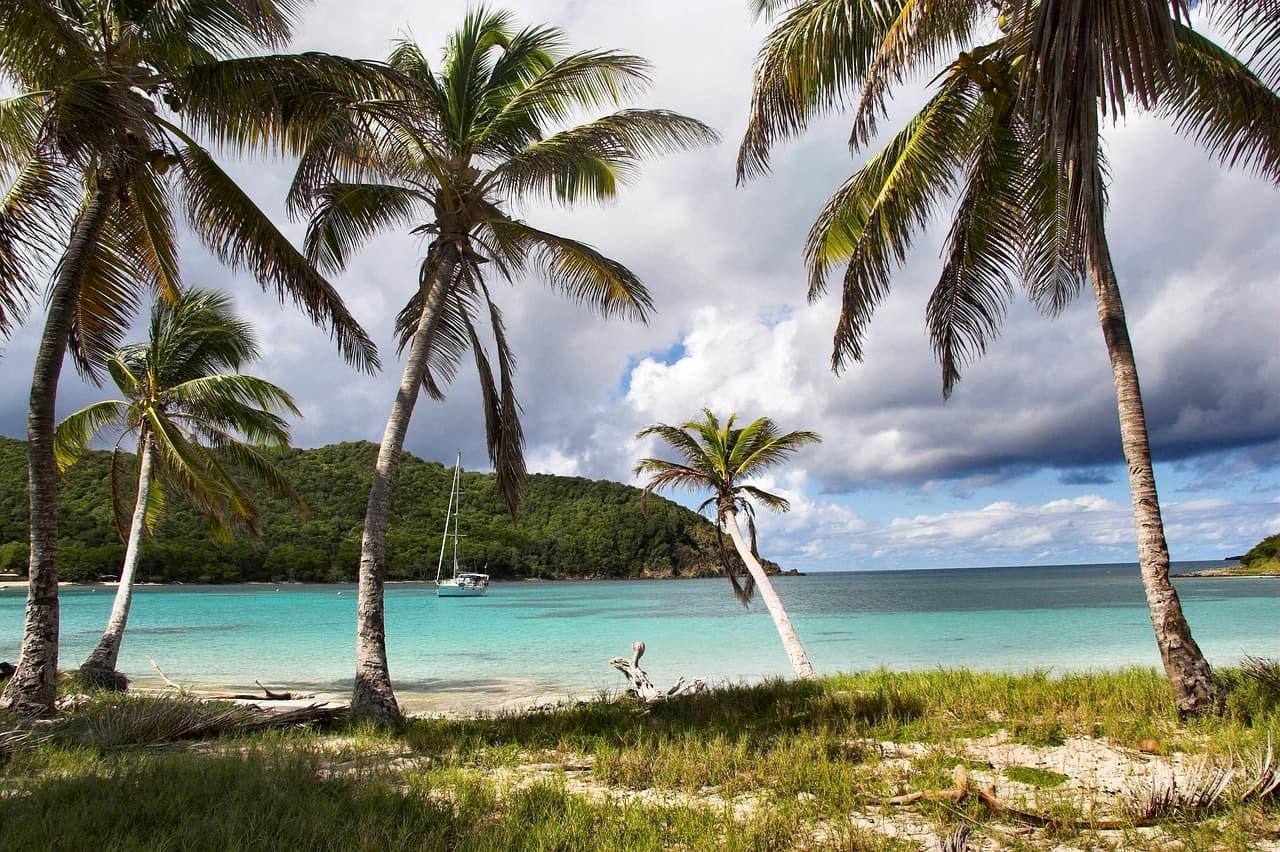 TTC Special: The attractive and tropical Caribbean winter is almost here