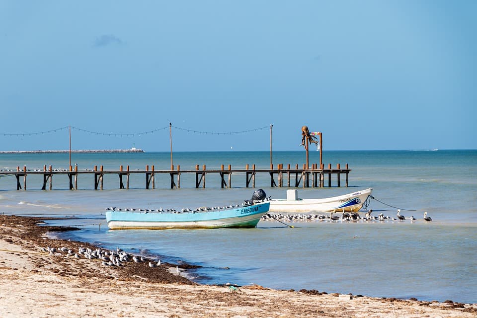 La Unión Europea junto al Caribe contra el sargazo
