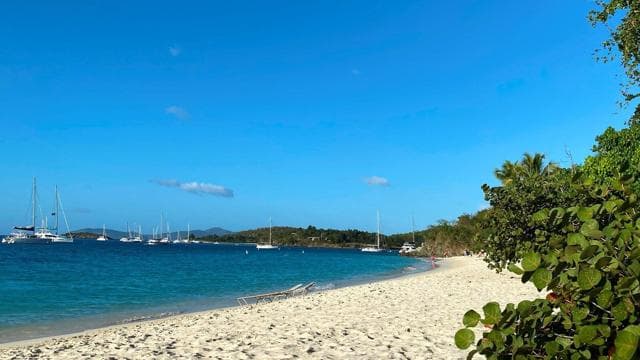 Honeymoon Beach Nominated Best Caribbean Beach for 2024