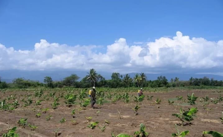 FAO’s agricultural support for tourism growth in Pedernales