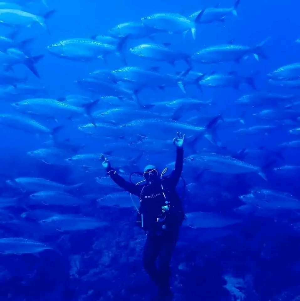 Marinas y Náuticas Marlin S.A con novedades en FITCUBA 2024