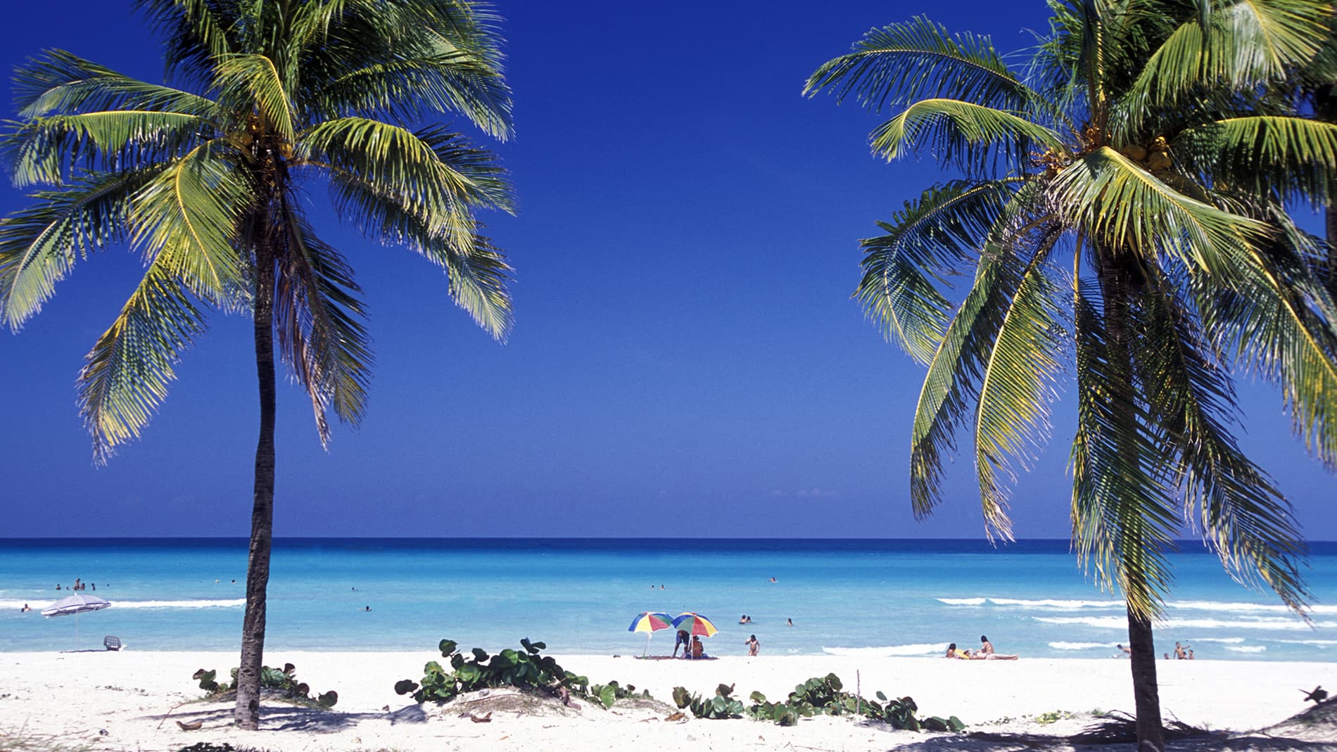UN Tourism: Putting communities at the Centre of Tourism Development in the Americas