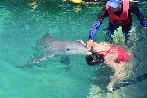 Alianzas para el turismo "wellness" en el destino Cuba