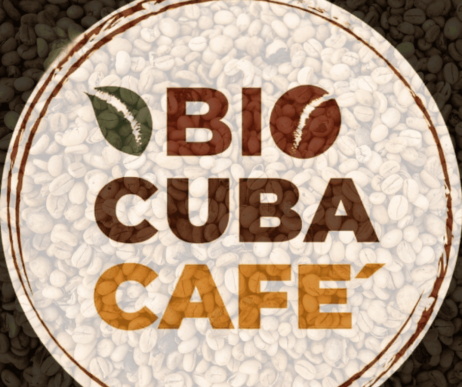 Biocubacafé llegará a Sigep 2025 como proyecto sustentable