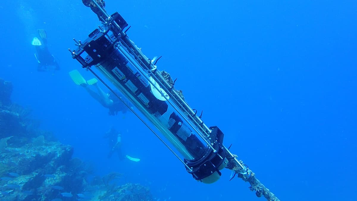 In Antigua, a new push to study Caribbean Whales — by listening to them