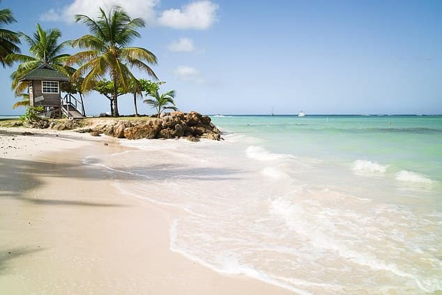 Tobago is the Caribbean island where you can really switch off