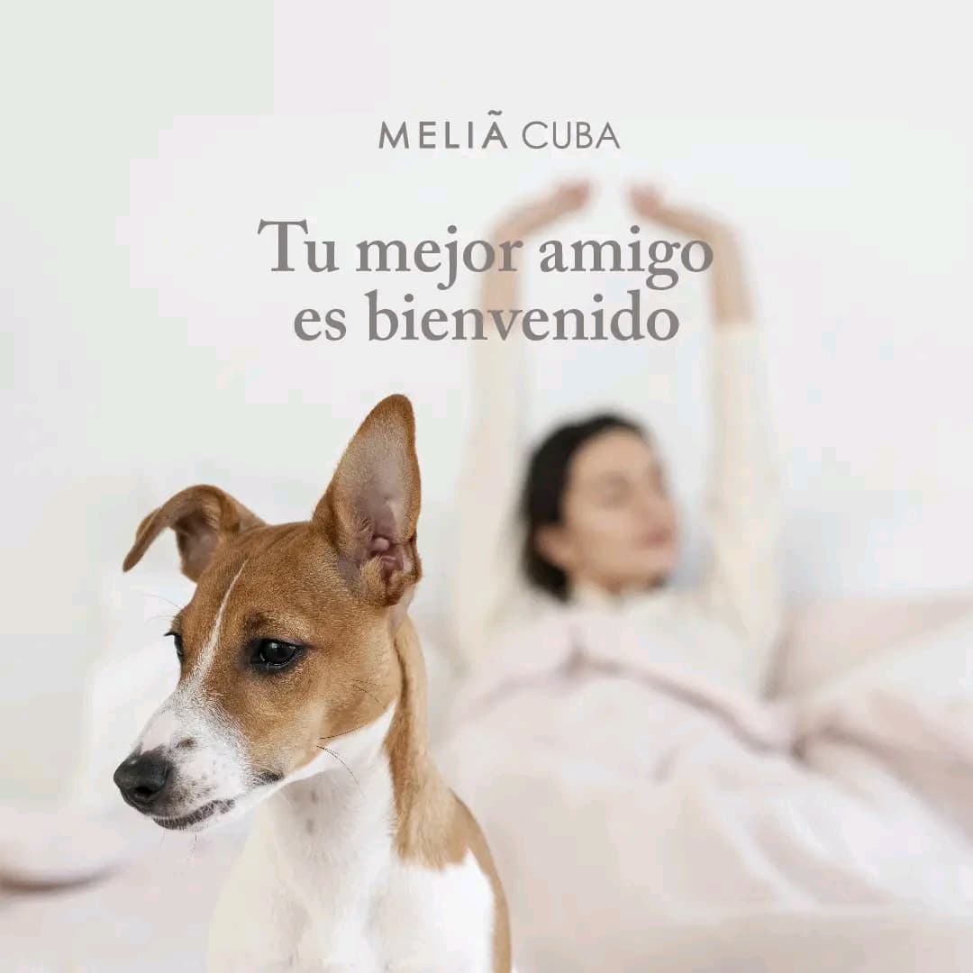 Pet Friendly by Meliá llega a Cuba