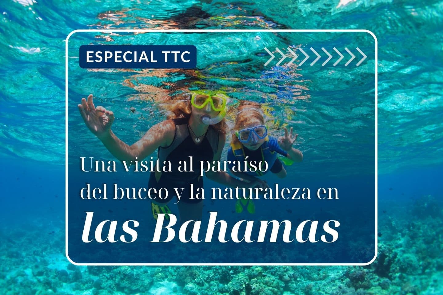 Especial TTC: Una visita al paraíso del buceo y la naturaleza en las Bahamas