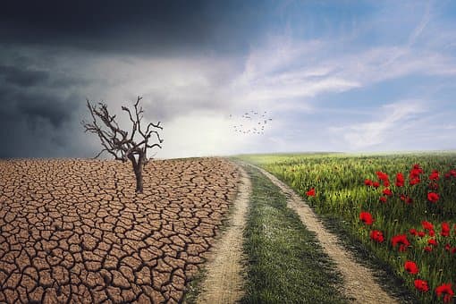 Million Funding From Canada To Address Climate Crisis