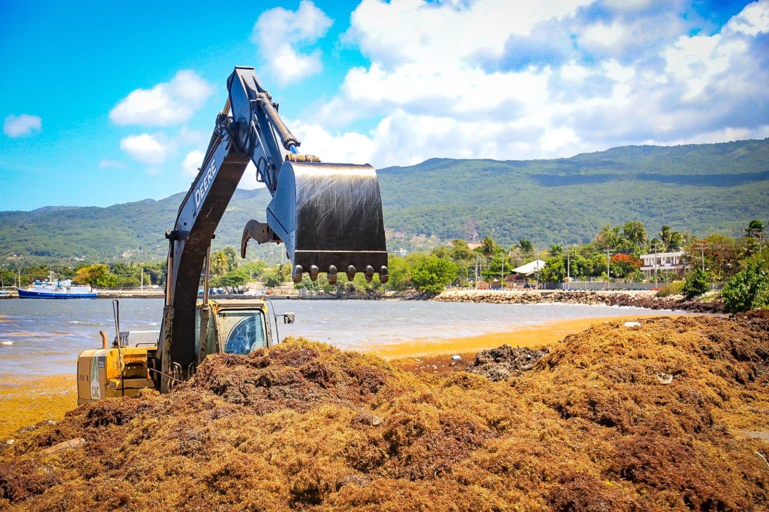 Europa comprará sargazo del Caribe para la industria textil