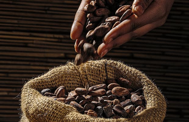 Empresa Agrosalva, buenas prácticas en el sector agropecuario de Cuba