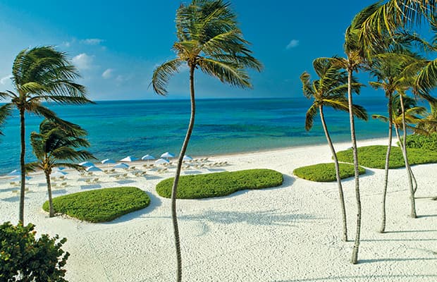 Iberostar y Condor celebraron encuentro para reactivar turismo alemán en Dominicana