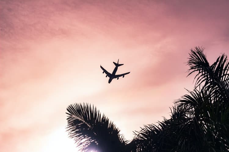 Flycana lanzará nuevos nombre e imagen en 2022