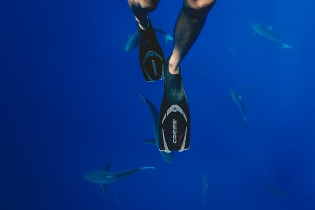 Es Oficial: El buceo será una oferta de turismo especializado en Cuba para canadienses