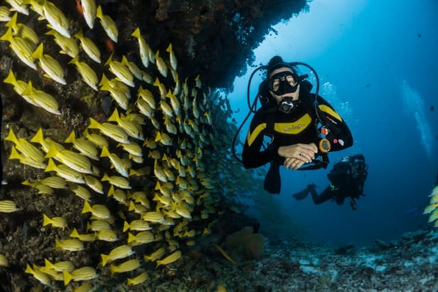 Antal Boschok: el arrecife de Mundo Maya es el más saludable de Mesoamérica