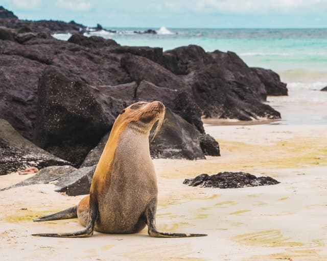 La campaña Breathe again promueve el remanso biodiverso de Islas Galápagos
