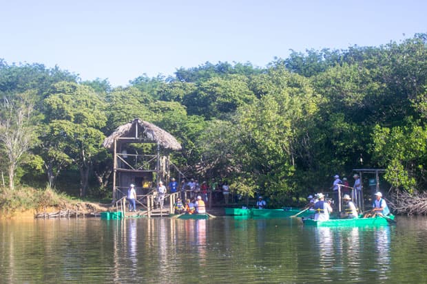 Cuba celebrará Taller de Diversidad Biológica y Turismo (Biotur 2021) para fines del año
