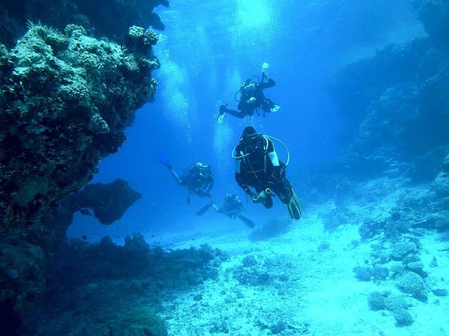 Isla de Tintipán y el baño de plancton luminiscente que necesitas