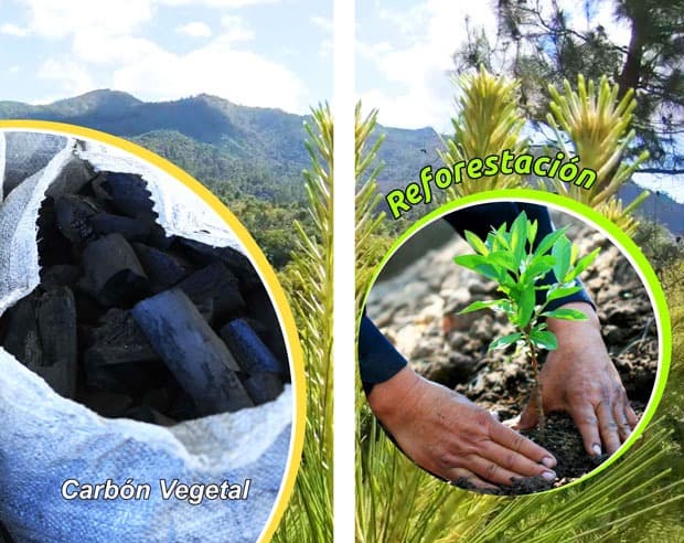 Empresa Agroforestal Gran Piedra Baconao promueve sus potencialidades productivas