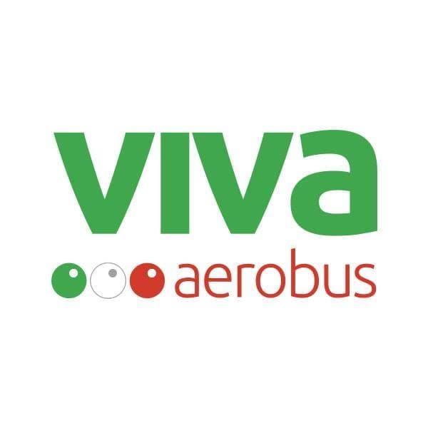 Aeropuerto Internacional Felipe Ángeles opera una veintena de vuelos y más de 2 mil pasajeros al día