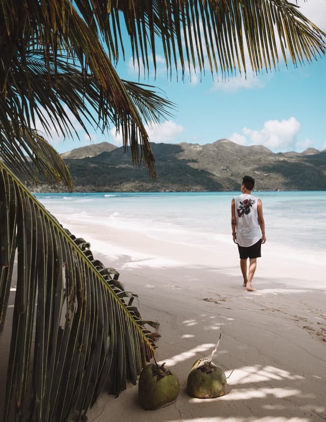 Dominican Republic will not require PCR tests from Canadians after reopening of flights