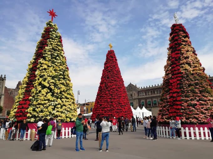 Temporada turística de invierno en México se acerca a niveles pre-Covid