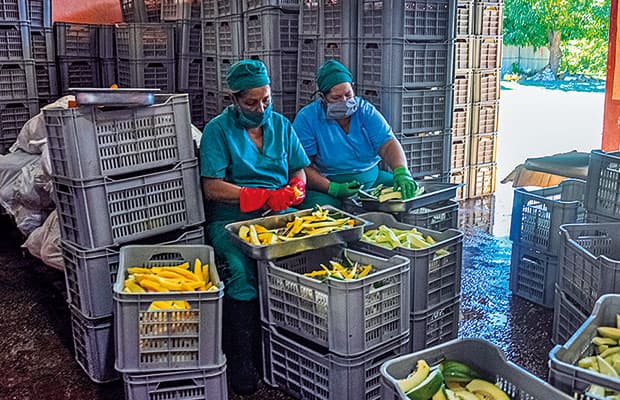 Fiagrop 2022 será del 4 al 10 de abril