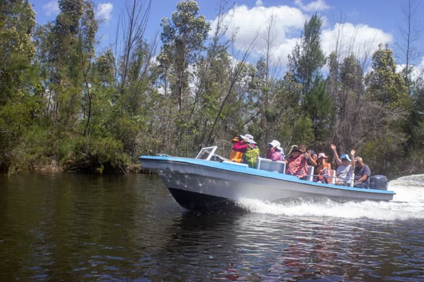 Cuba’s Zapata Swamp enchants foreign tourists