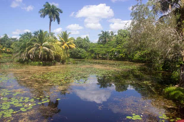 Ciénaga de Zapata, un turismo sustentable en armonía con el ecosistema