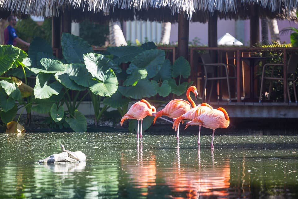 República Dominicana invertirá 100 millones de pesos en el desarrollo de zonas ecoturísticas