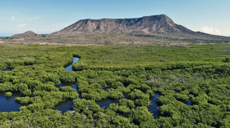 Parque Nacional Estero Balsa en República Dominicana, un verdadero tesoro de la naturaleza