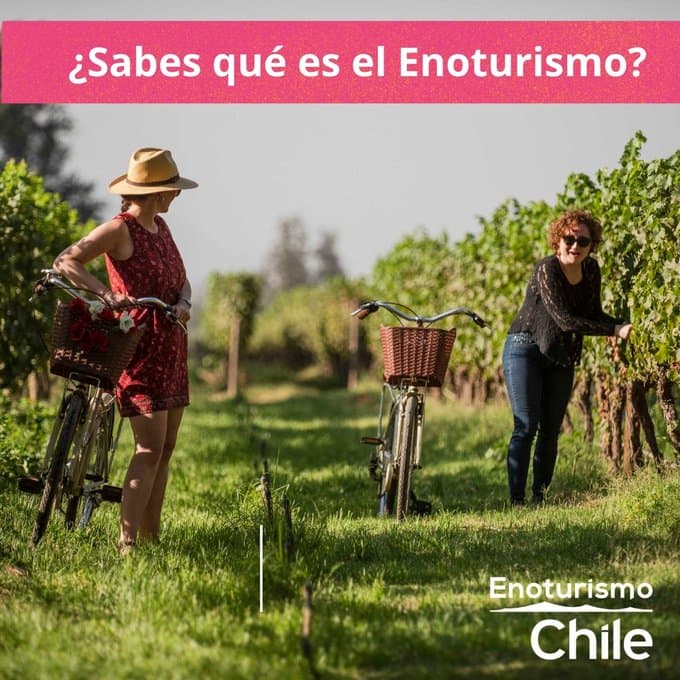 Convocan a Premios Enoturismo Chile 2022