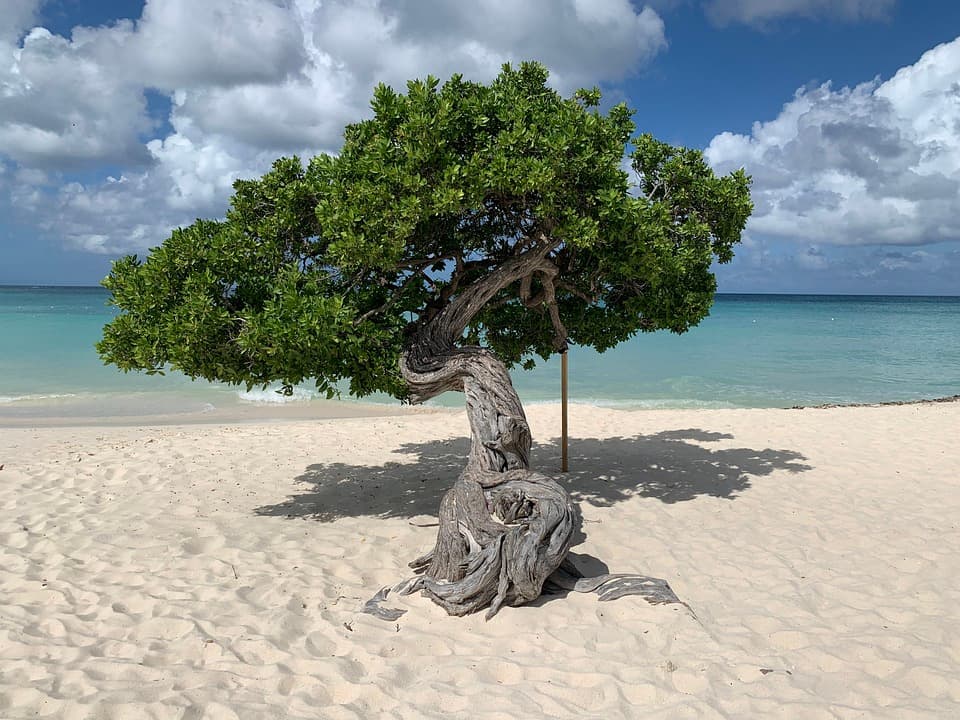 Caribbean Tourism being relevant in post-pandemic era