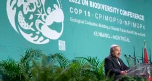 Especial TTC: Sin naturaleza no tenemos nada, ni siquiera turismo