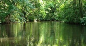 Costa Rica con el turismo sostenible como protagonista