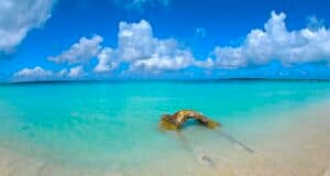 Cuba apuesta por un turismo sostenible en Jardines del Rey