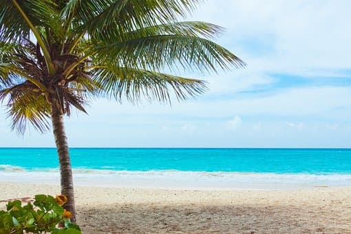 El Caribe registra llegadas de récord